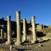 temple_habu_lux_v_0181_egy2438.jpg